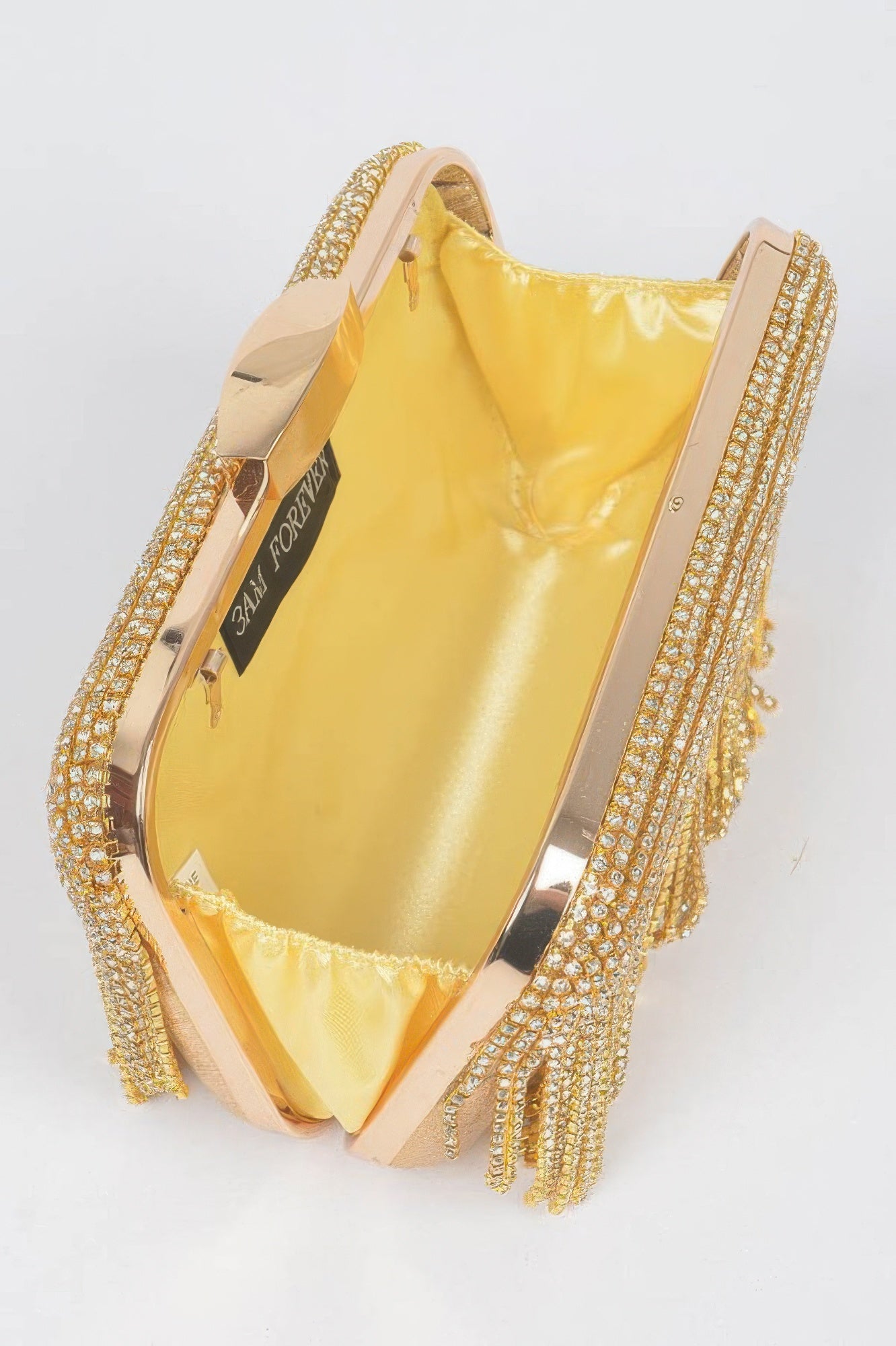 Golden Heir rhinestone fringe hard clutch bag in black with sparkling rhinestones and decorative fringe detailing.